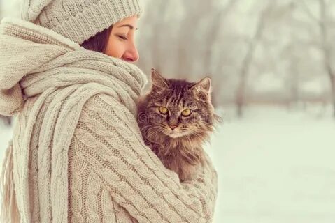 Холодно ли кошкам зимой на улице