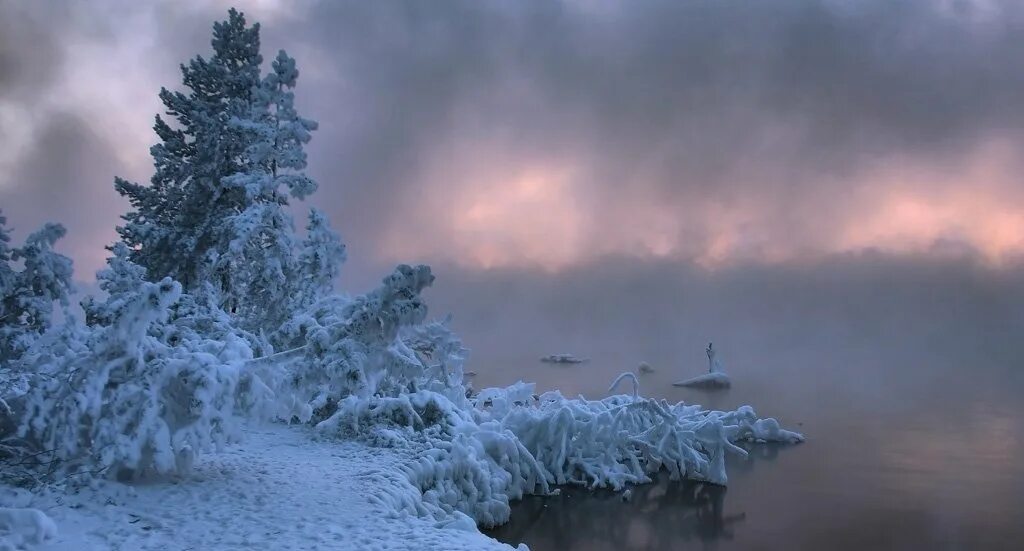 Зимняя буря. Метель. Снег буря. Зима буря. Метель в тайге