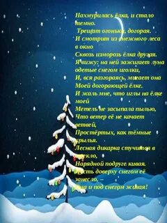 В лесу родилась елочка интересные факты