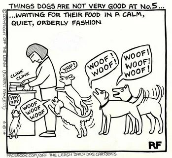 Как перевести dogs на биржу