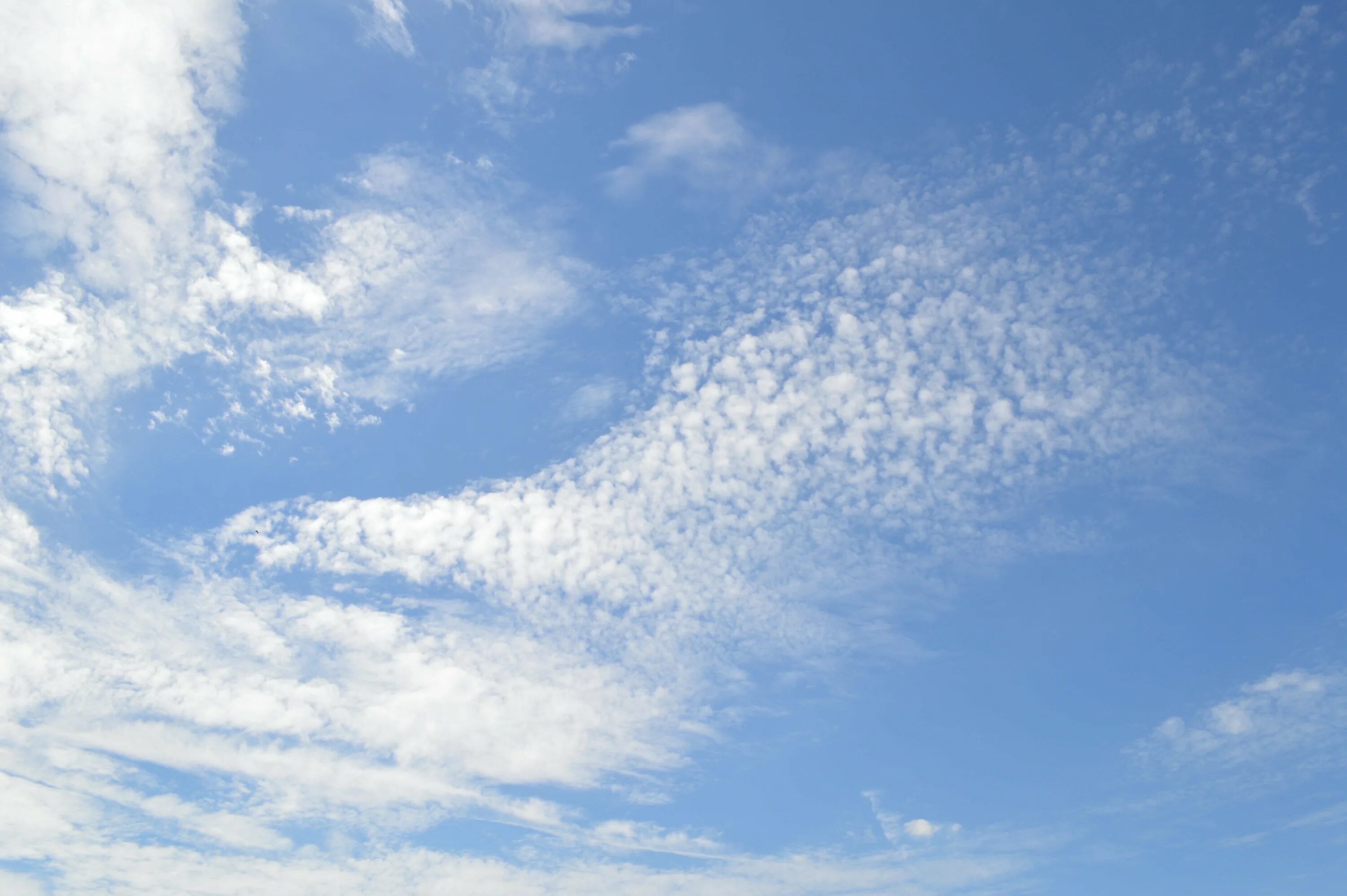 Светло голубое небо. Светлое облако. Светлое облако. Светлое небо. Голубое небо.