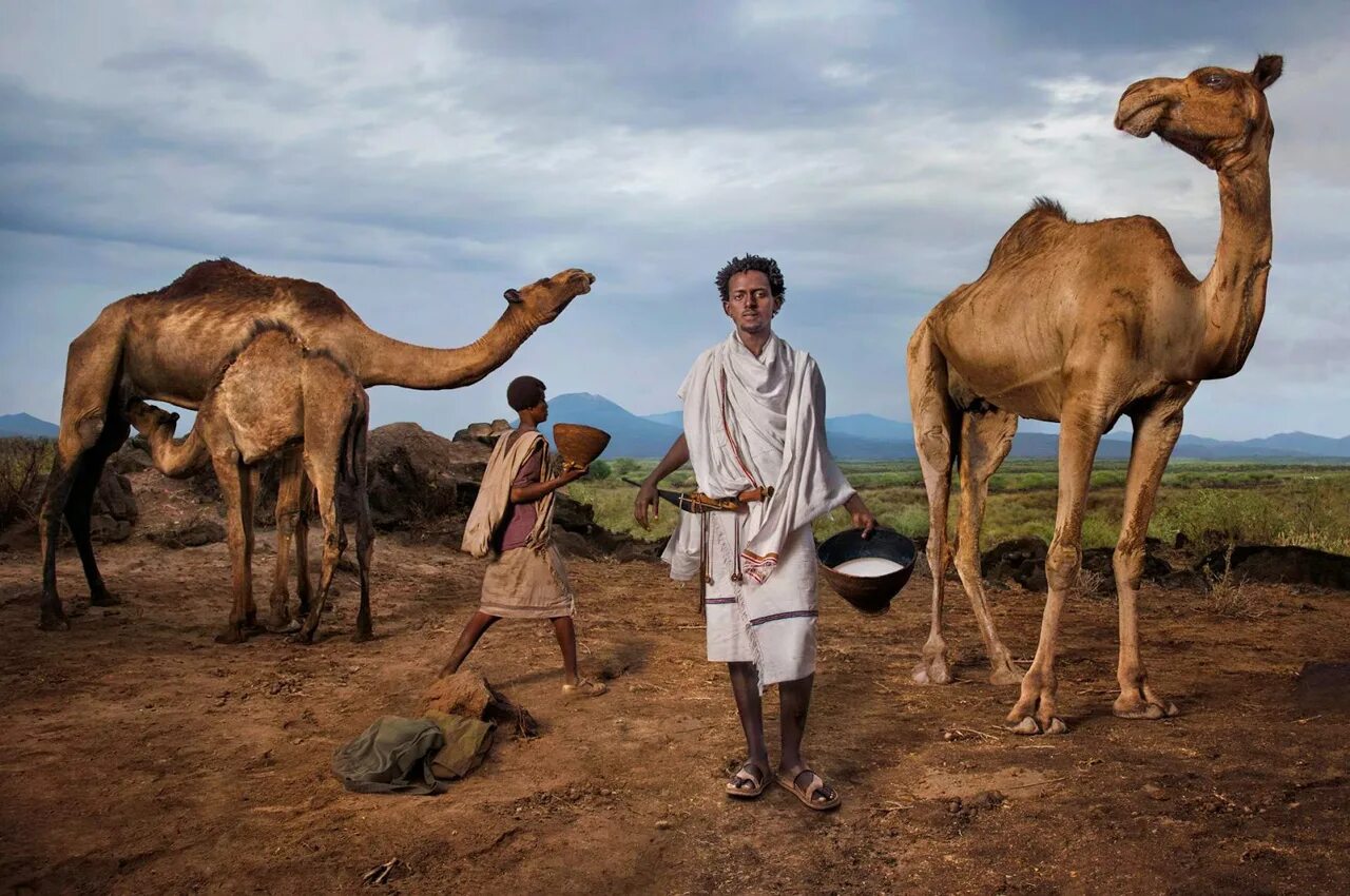 Кочевое племя из африки пасущих. Кочевники бедуины в древности. Кочевое племя из африки пасущих. Нигерия африка. Коровы в африке.