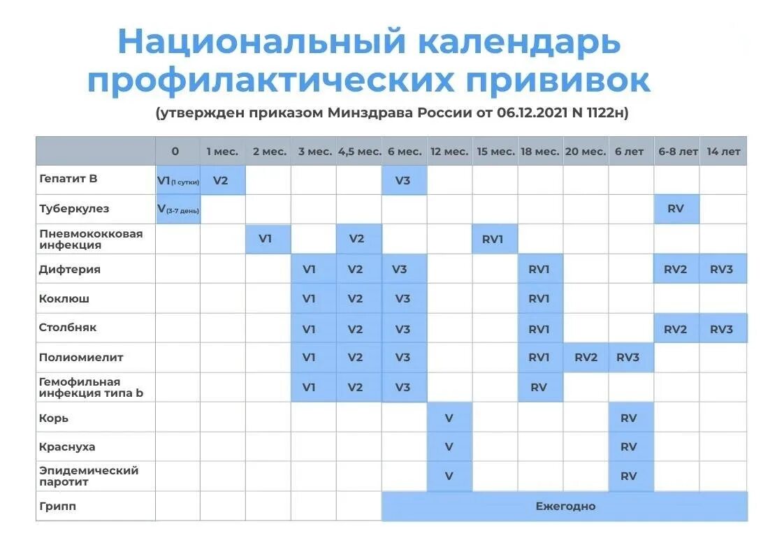 Календарь прививок на 2025 год в россии