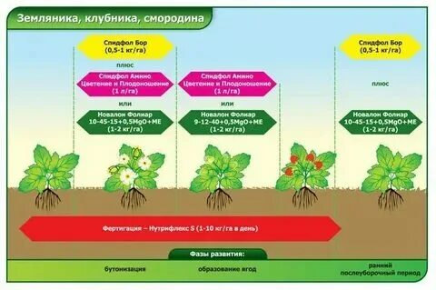 Схема внесения удобрений