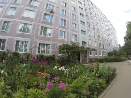 Ногинск декабристов
