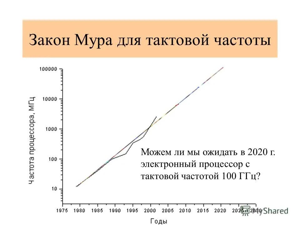 Морские дьяволы кот и мура. Морские дьяволы судьбы. Морские дьяволы мура. Морские дьяволы мура. Жура мура.