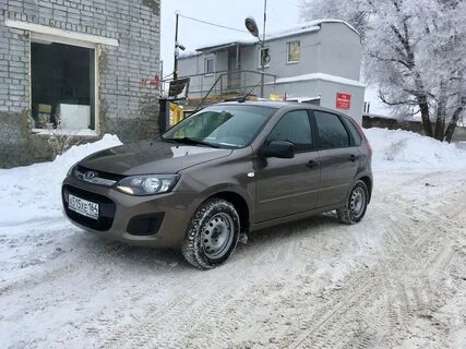 Калина 2 зимой