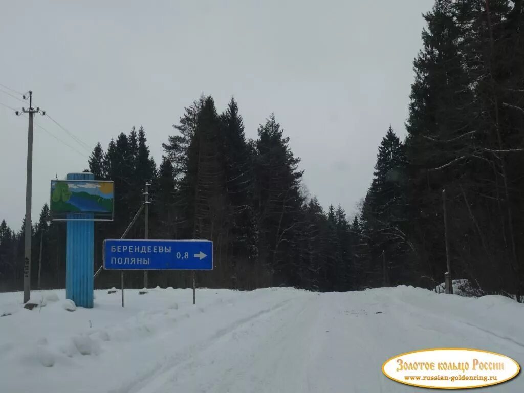 лагерь берендеевы поляны костромская область. берендеевы поляны лагерь. берендеевы поляны. берендеевы поляны. берендеева поляна математический лагерь.