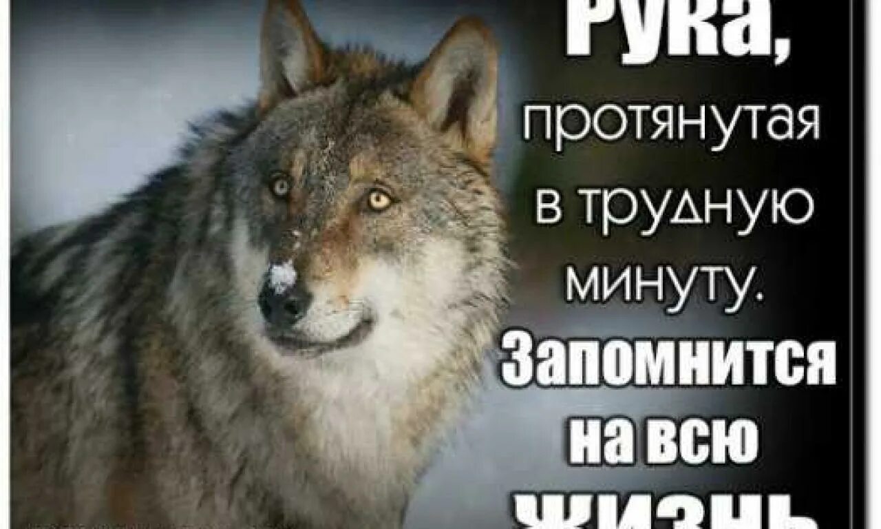 Рука протянутая в трудную минуту запомнится. Рука ппртянутая в трудную мину. ПОДДЕРЖКАТВ трудную минуту. Картинки с поддержкой в трудную минуту.