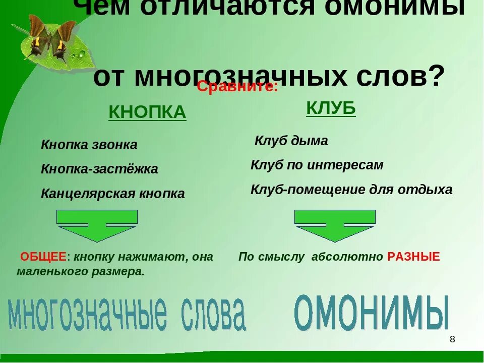 4 омонима слове. Омонимы. Омонимы примеры 5 класс. Что такое омонимы в русском языке. Омонимия примеры.