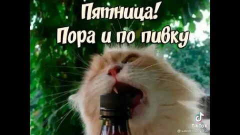 Песня пятница пора
