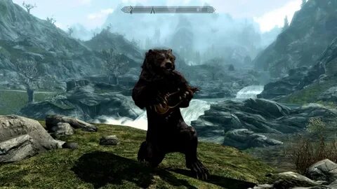 Bear mods