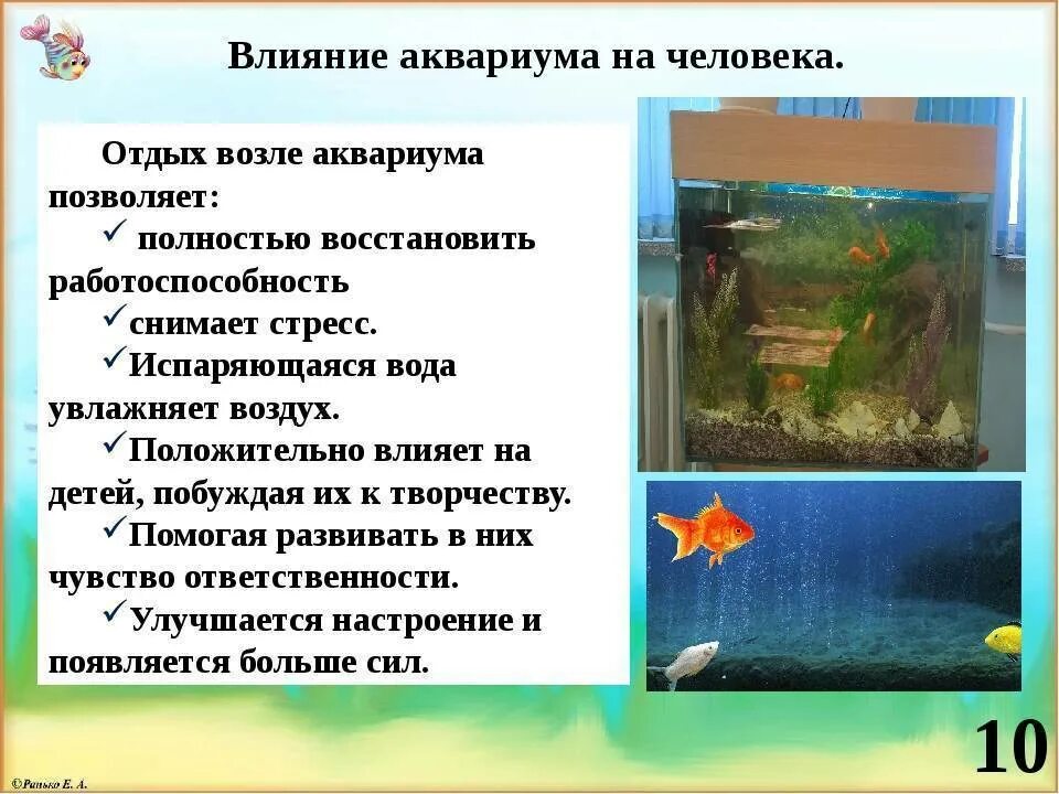 Правила ухода за аквариумными рыбками для детей. Влияние аквариума на человека. Аквариум для презентации. Наблюдение за аквариумными рыбками.