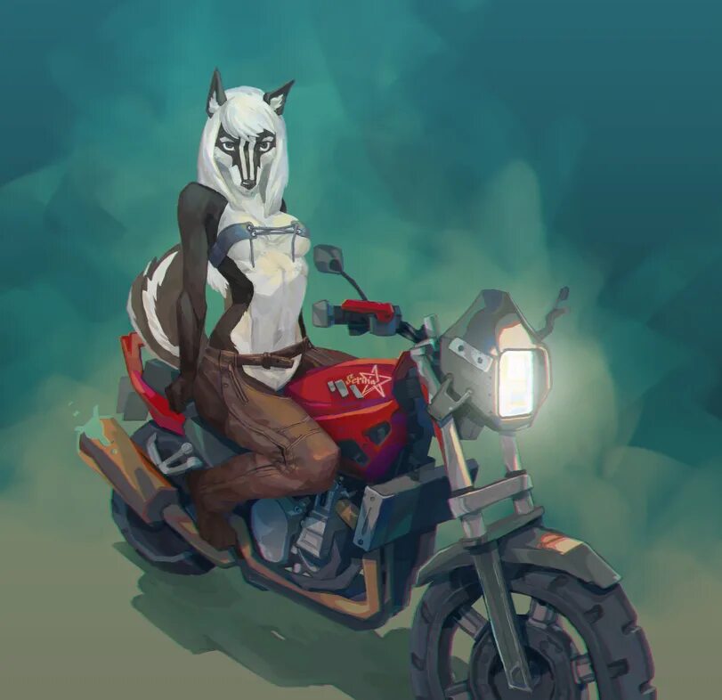 Furry wolf on a bike. Фурри байкеры. Волк байкер арт. Furry wolf on a bike. Качки на мотоциклах.