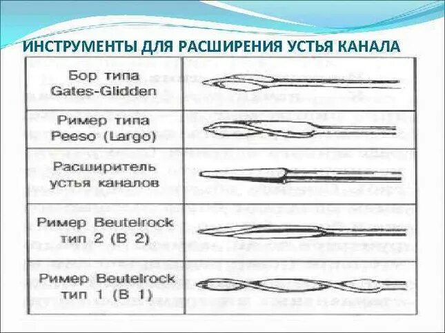 Функции устьев