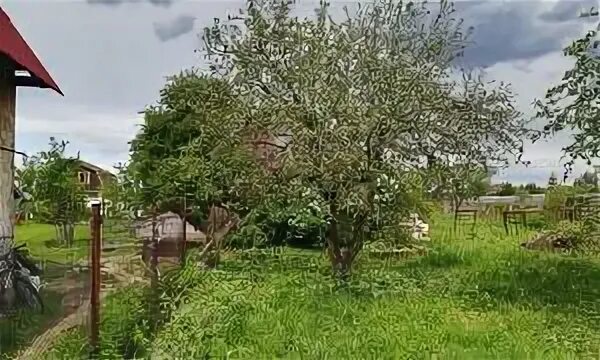 Одоевский район тульская область. Деревня стояново черноголовка. Стояново тульская область. Деревня стояново черноголовка. Деревня стояново.