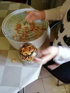 Сушилка фруктов беломо