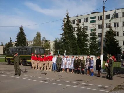 Петушки костино