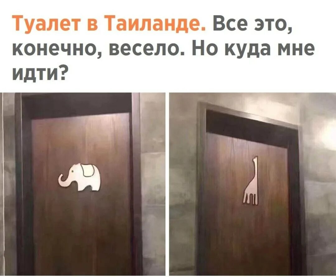 Куда идти в туалет. Туалет в тайланде. дизайн прикол. дизайн приколы и шутки.