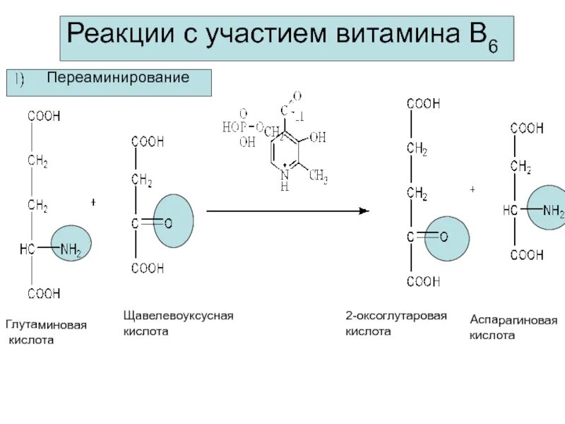 Витамин b6 кислота. Реакции с витамином в1. Реакции трансаминирования витамин б6. Трансаминирование аминокислот кофермент витамин в6. Реакции трансаминирования витамина в6.