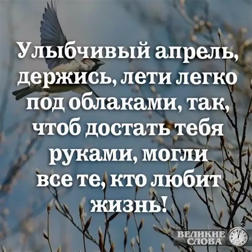 Держись полетим. Держись полетим