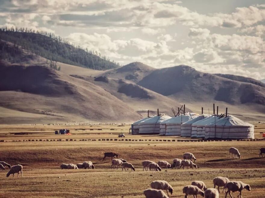 Сыргалы монголия. Горы маньчжурии. Амарбаясгалант монголия. Монголия b c d. Центральная азия монголия.