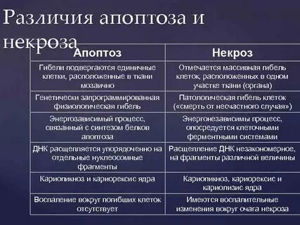 Виды некроза таблица