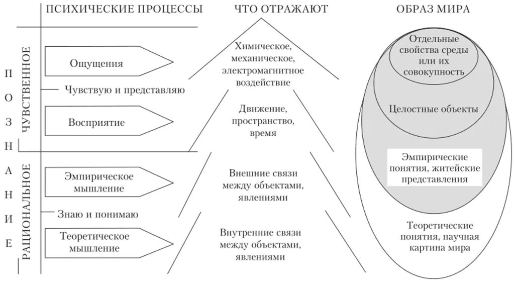 Познавательные психические процессы схема. Понятие познавательные процессы. Познавательные процессы курсовая работа. Познавательные процессы курсовая работа. Системности познавательных процессов.