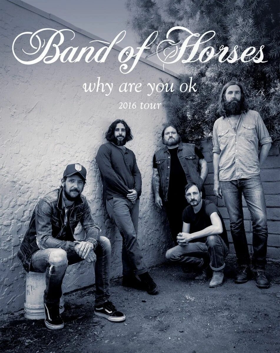 Band of horses. Группа Band of Horses. Horsey Band. Band of Horses the Funeral. Band of Horses LP.