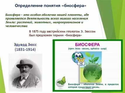 Термин биосфера