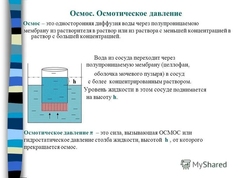 Коллигативные свойства растворов осмос. Диффузия осмотическое давление. Осмос давление в клетке. Диффузия осмотическое давление. Явление осмоса.