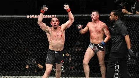 Fight night 239
