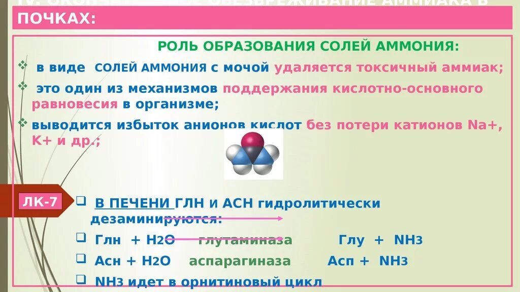 Образование аммонийных солей. Образование и выведение аммонийных солей.. Формирование солей аммиака в почках. Образование аммонийных солей в почках. Аммиачная кислота формула