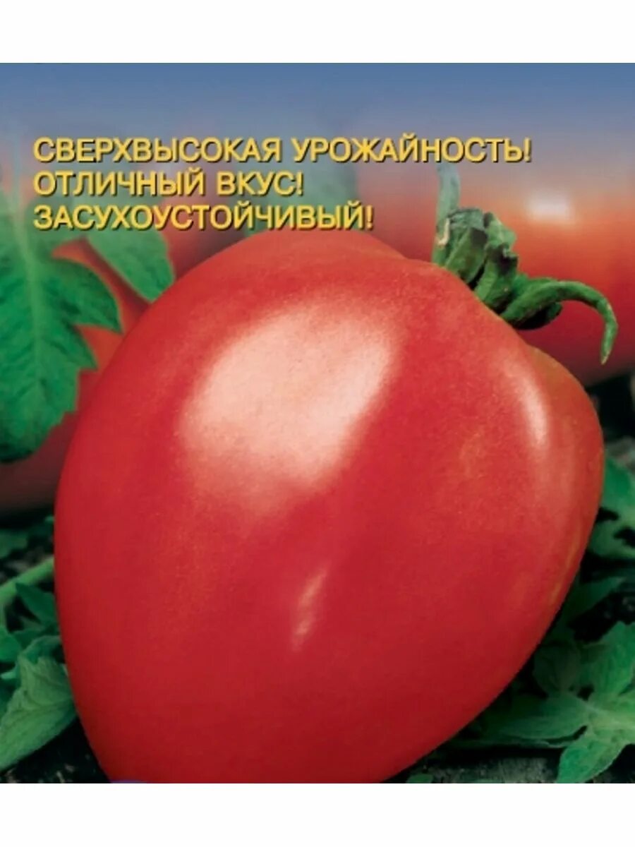 Томат Данко Сиб сад. Томат Дамский угодник. Семена томат Данко. Томат Данко Сибирский сад. Томаты данко описание отзывы