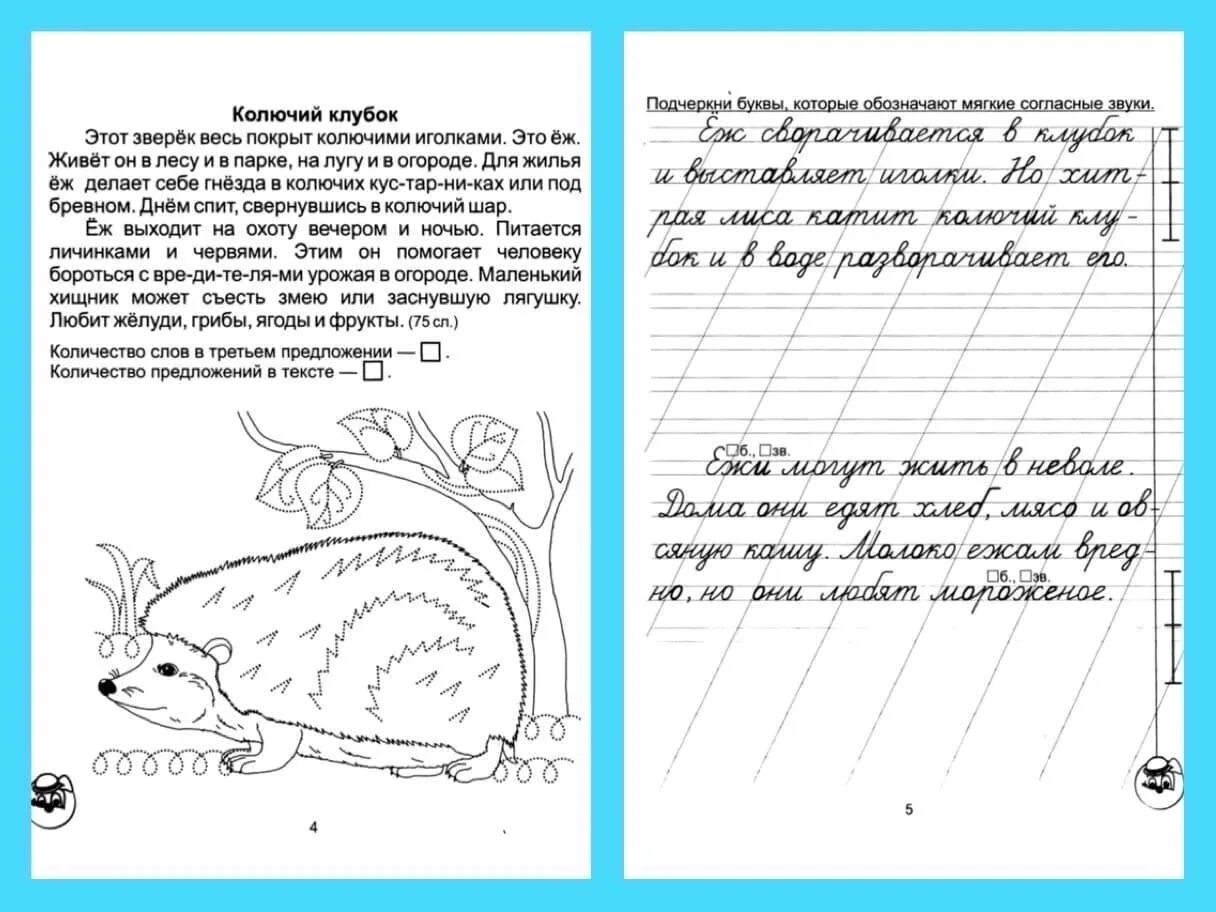 Короткий текст для 1 класса. Списывание 1 класс 1 четверть школа России. Списывание 1 класс 2 полугодие школа России ФГОС. Списывание 1 класс 3 четверть школа России. Списывание 1 класс 2 школа России.