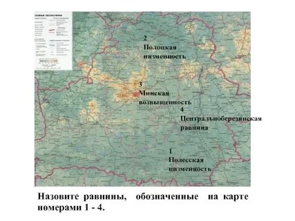 Полесская низменность