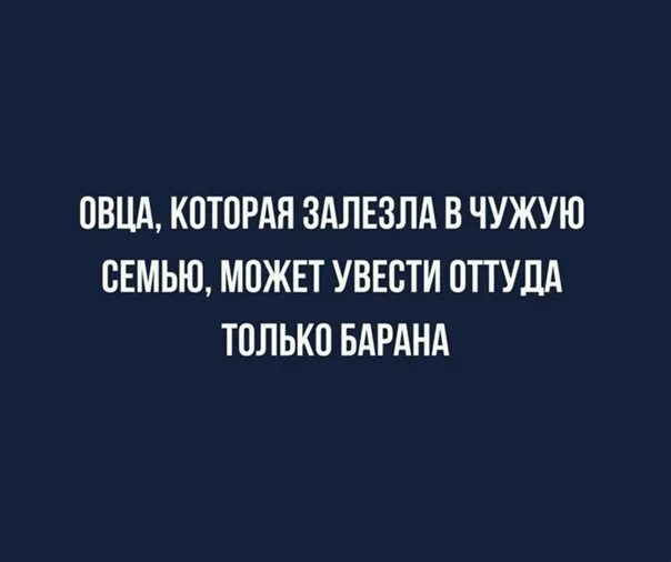 Увела чужого мужа. Овца может увести из семьи только барана. Овца влезшая в чужую семь. Из семьи можно увести только барана. Овца залешая вчужую семью.