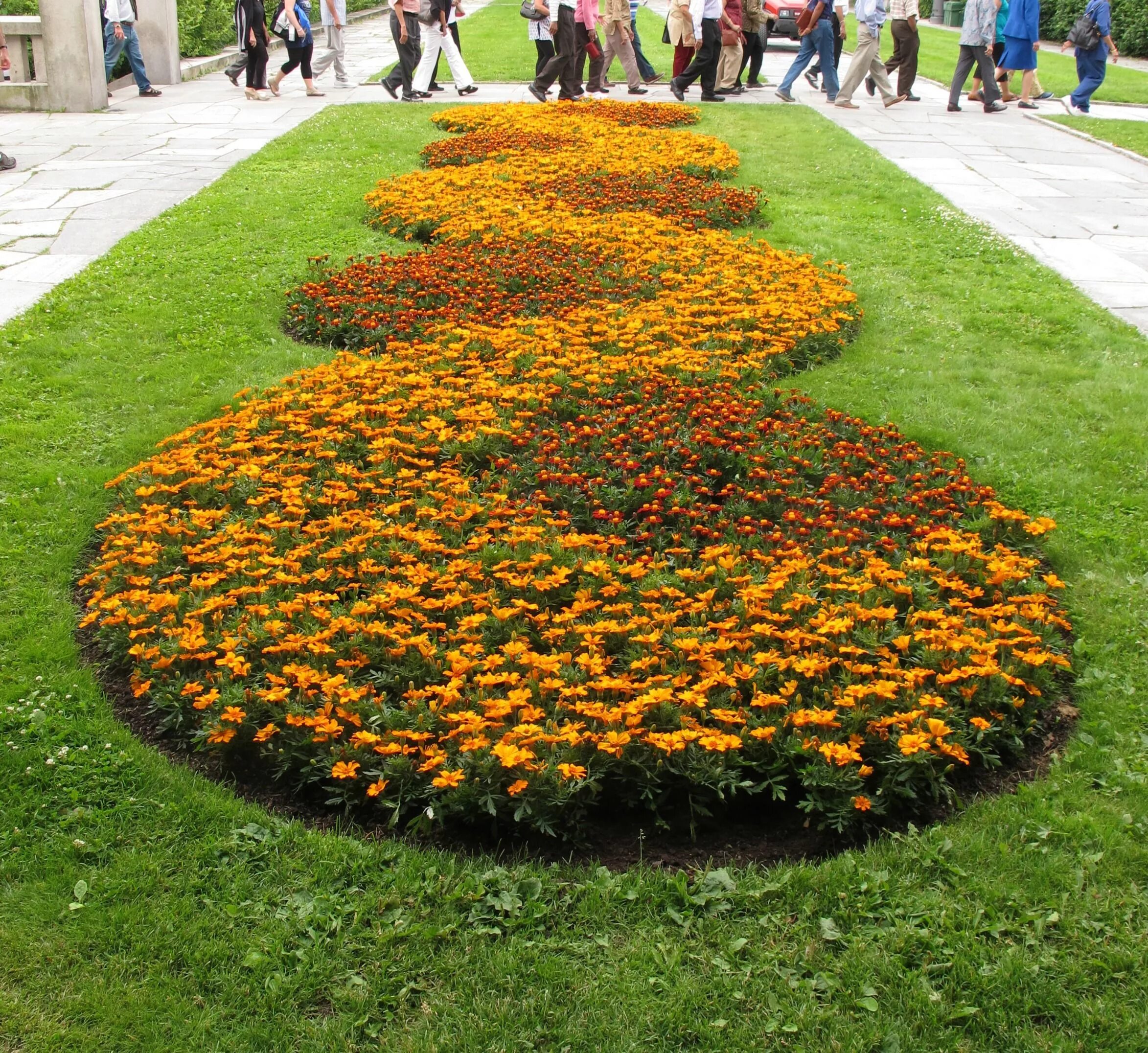 Клумбы треугольник. Клумбы треугольник. Клумбы геометрической формы. Клумбы треугольник. Ковровые цветники.