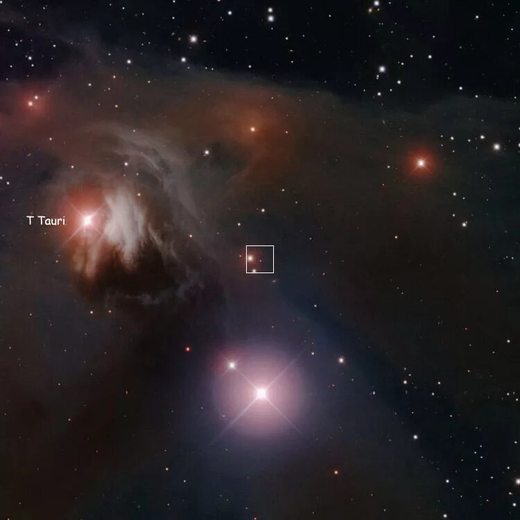 Переменная туманность хайнда. Ngc 1555. Переменные типа т тельца это. Звезда т тельца. Туманность в созвездии тельца.