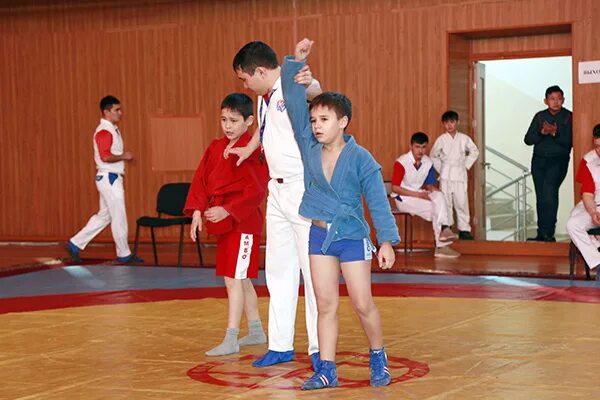 Самбо 3 года. Суздаль арена борьба. Самбо 3 года. Самбо 3 года. Самбо борьба.