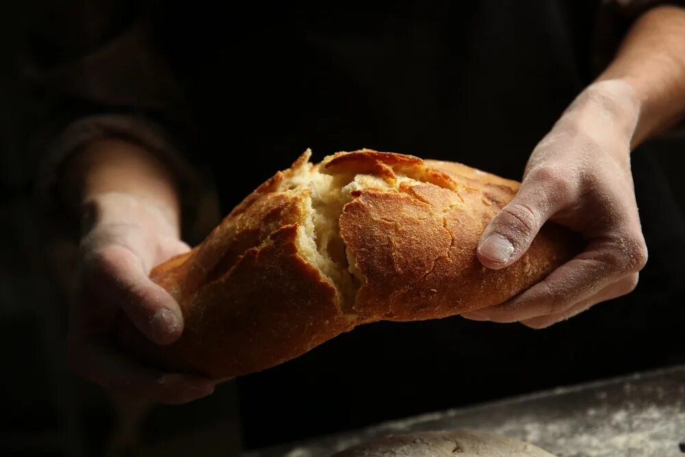 Дает с руки еду. Булочка в руке. Хлеб в руках. Красивый хлеб.