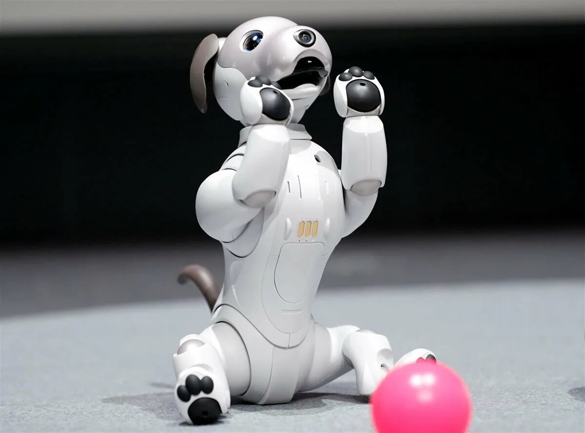 Робот Sony Aibo. Aibo робот-собака от Sony. Собака робот Япония Aibo. Aibo 1999. Ai pet