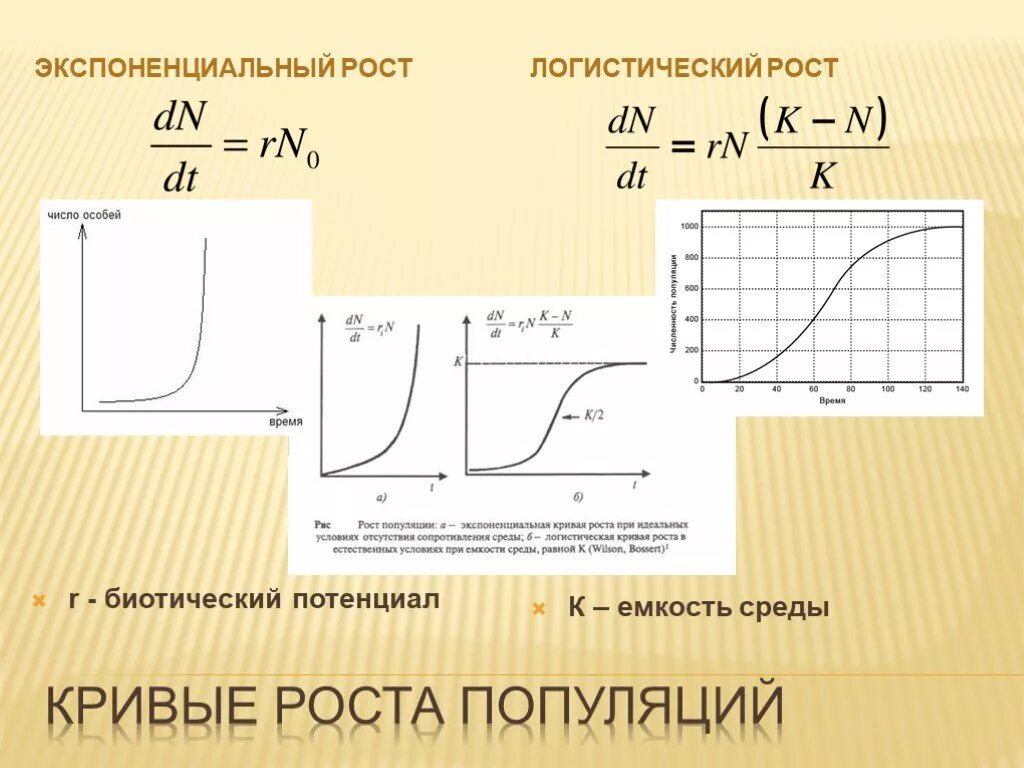 График экспоненциального роста популяции. Логистическая модель роста популяции. Экспоненциальный и логистический рост. Экспоненциальная кривая роста. Линейный и экспоненциальный рост презентация