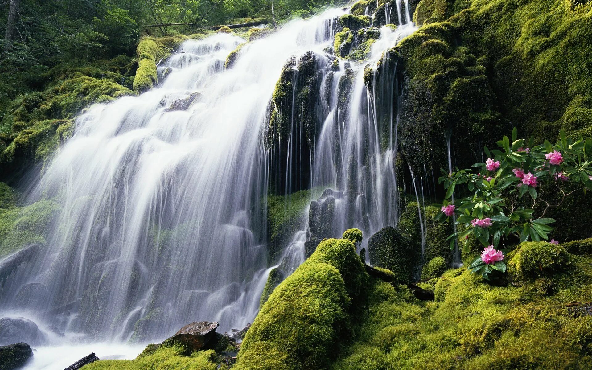 Красивые стандартные. Водопад Мосбрей. Красивая природа водопад. Пейзаж водопад. Живая природа водопады.