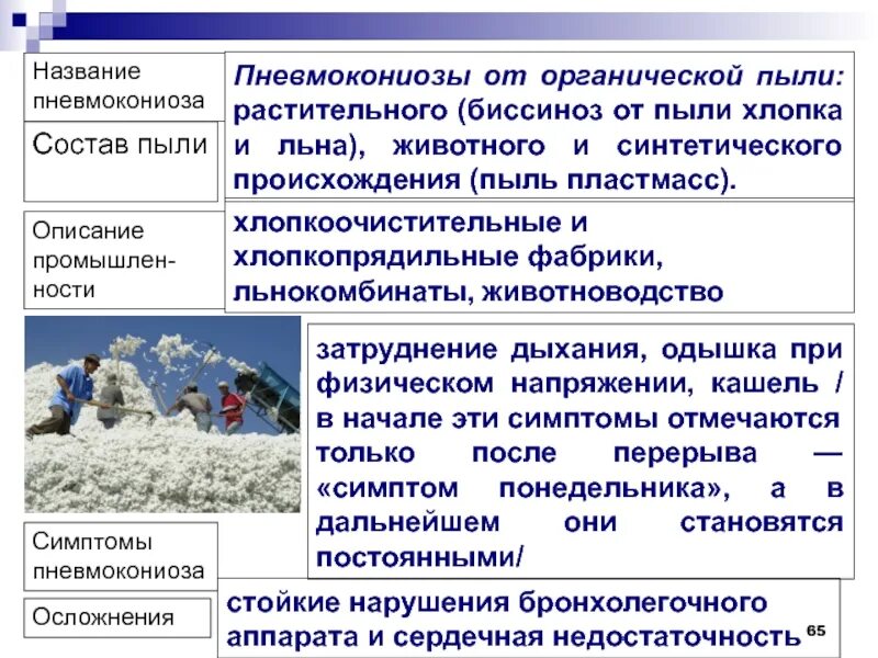 Пылью называется