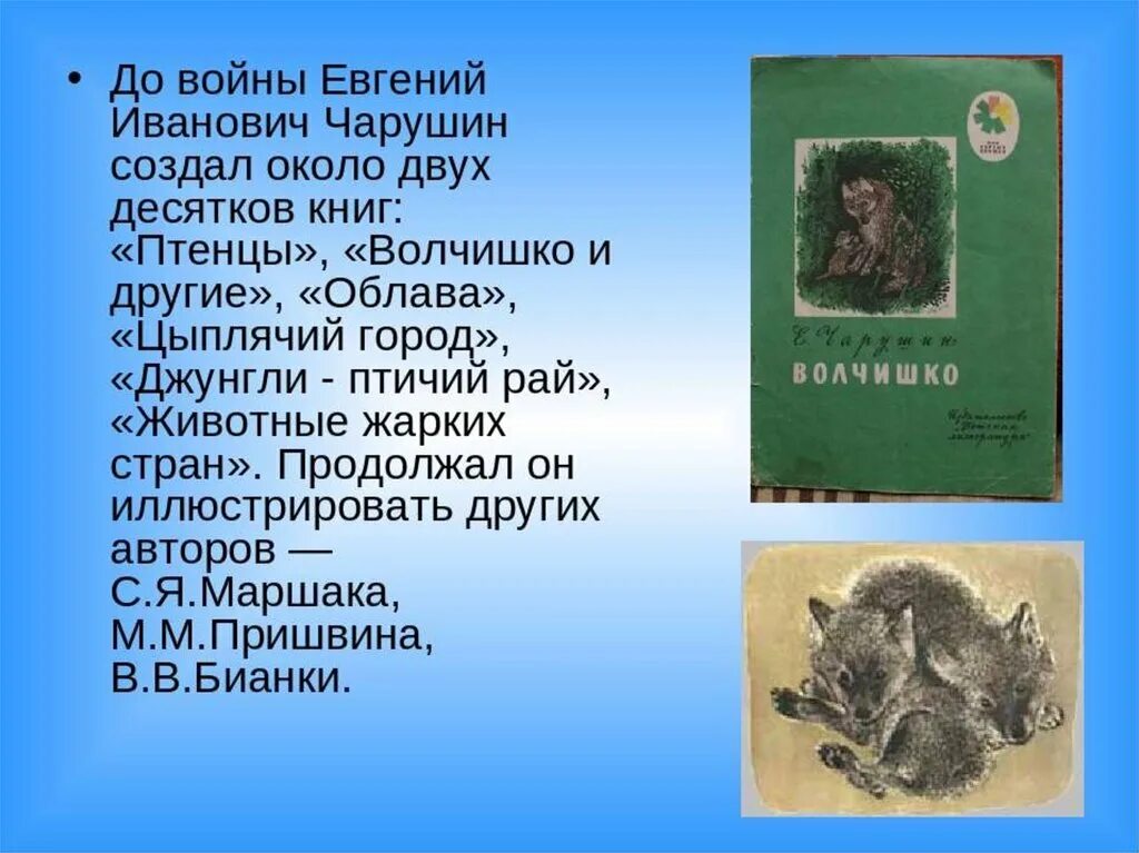Какие рассказы е чарушина. Чарушин евгений иванович волчишко. книга е чарушина волчишко. евгения ивановича чарушина волчишко. евгений чарушин « волчишко и другие».