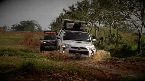 We were expedition