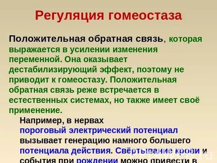 Положительные и отрицательные обратные связи