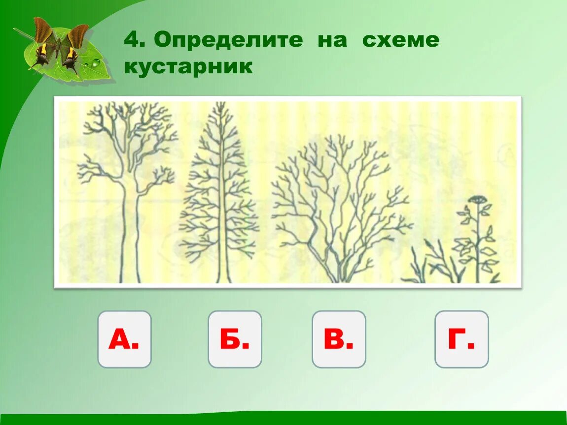 Задания на тему какие бывают растения. Деревья кустарники травы задания для дошкольников. Задания на тему растения 2 класс. Какие бывают растения задания 2 класс.