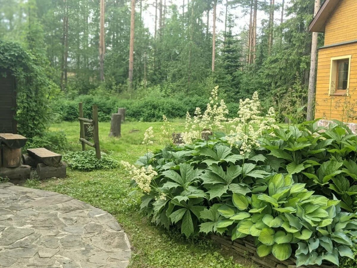 4 линия отзывы. Всеволожск 4 я линия.